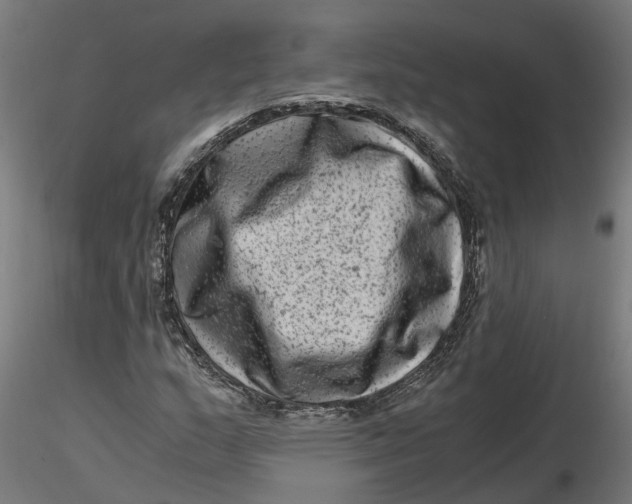 X0000116781159201001071231