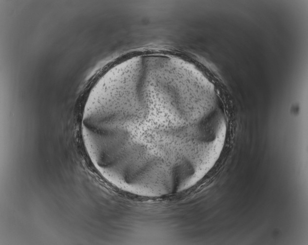 X0000116781160201001071231