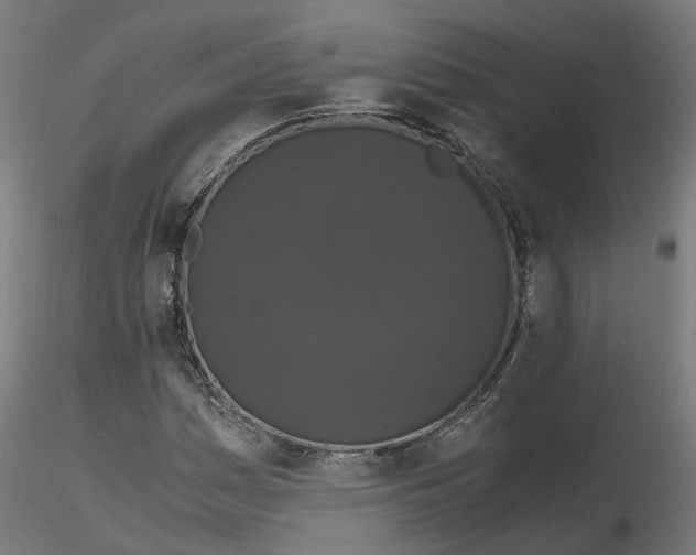 X0000116781161201001071231