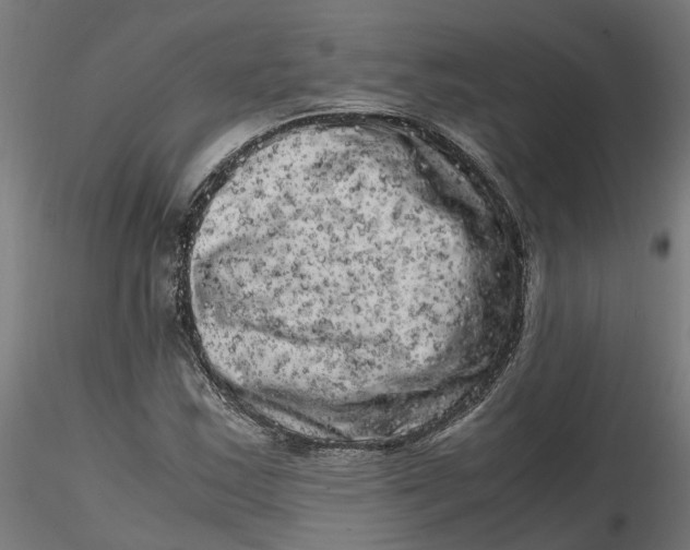 X0000116781163201001071231