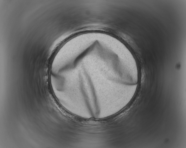 X0000116781164201001071231