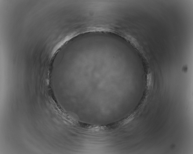 X0000116781165201001071231