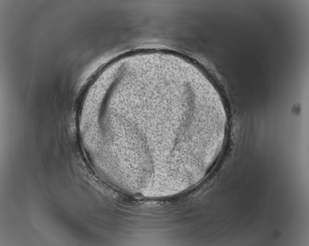 X0000116781167201001071231