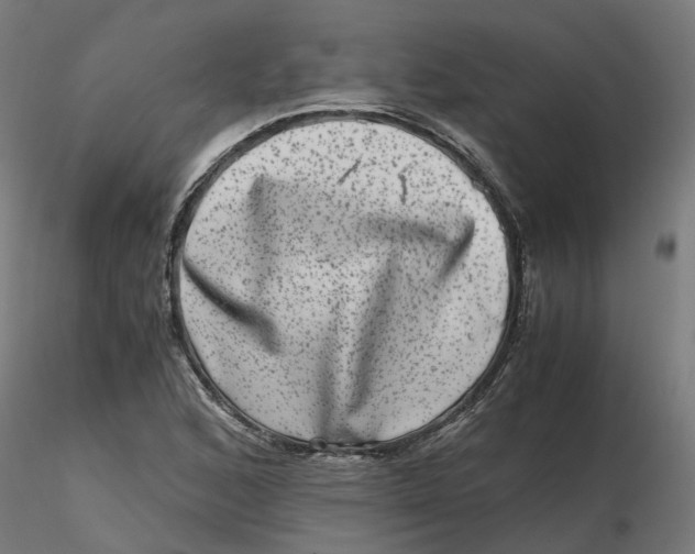 X0000116781168201001071231