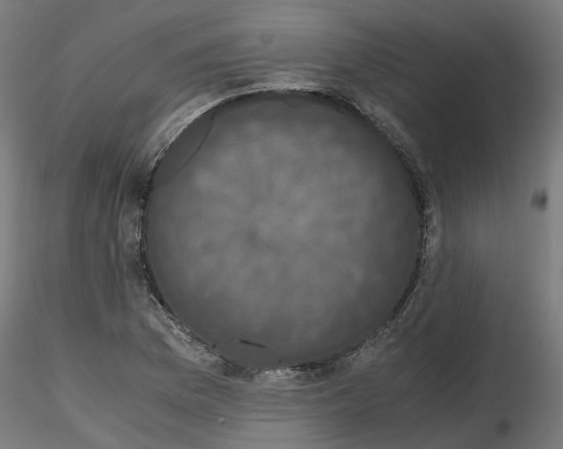 X0000116781169201001071231