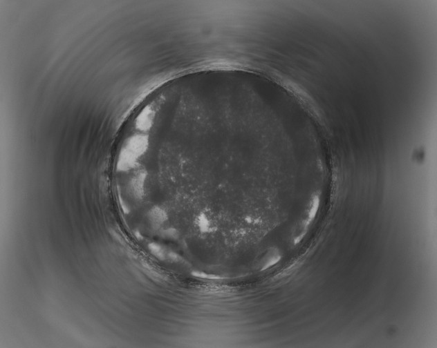 X0000116781170201001071231