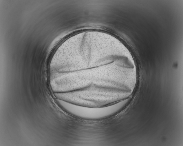 X0000116781172201001071231