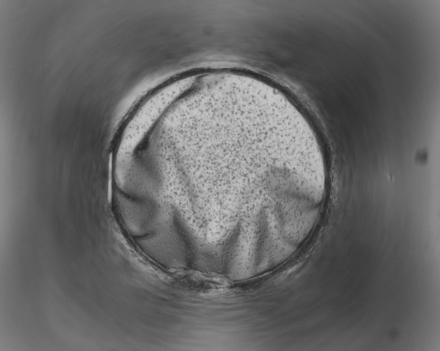 X0000116781175201001071231