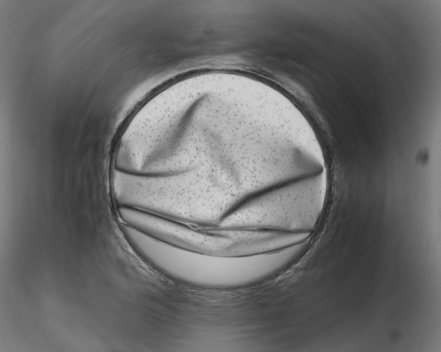 X0000116781176201001071231