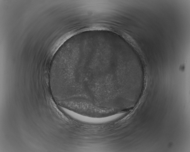 X0000116781177201001071231