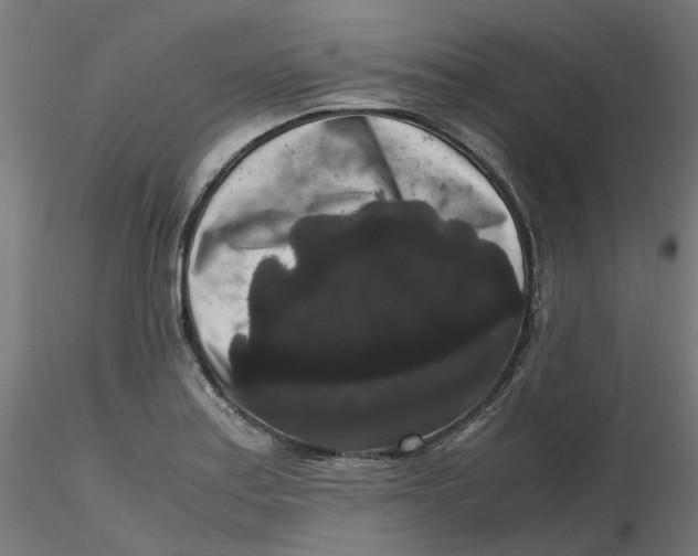 X0000116781179201001071231