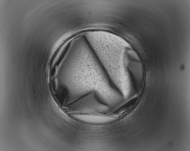 X0000116781180201001071231