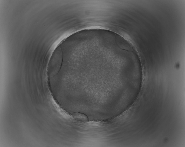 X0000116781181201001071231