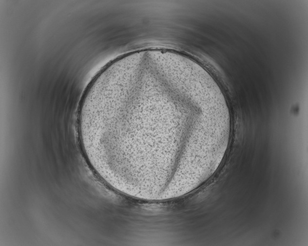 X0000116781182201001071231