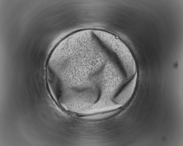 X0000116781184201001071231