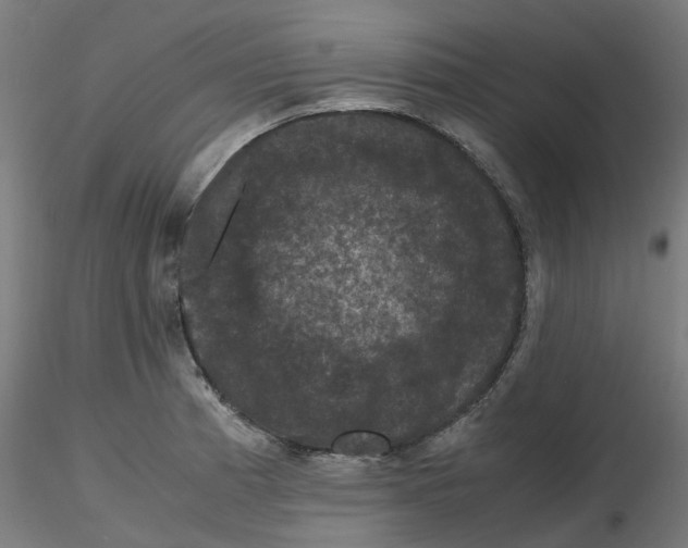 X0000116781185201001071231