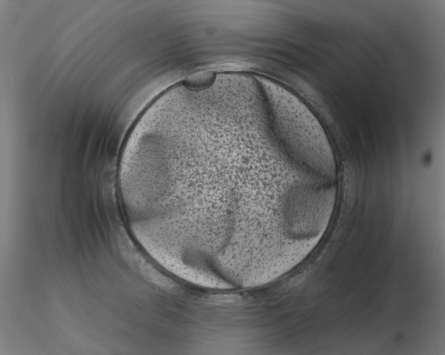 X0000116781186201001071231