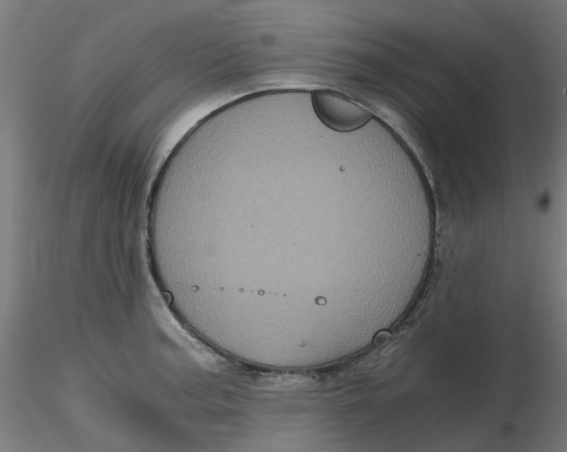 X0000116781187201001071231