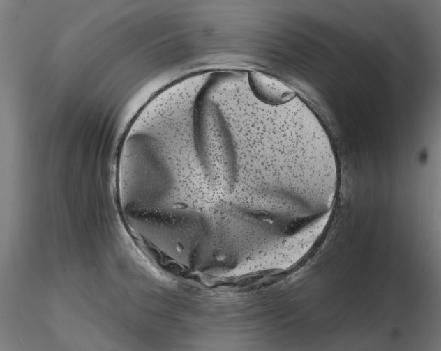 X0000116781188201001071231