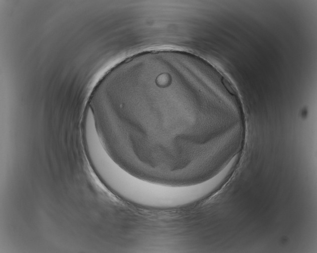 X0000116781189201001071231