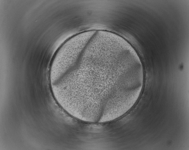 X0000116781190201001071230