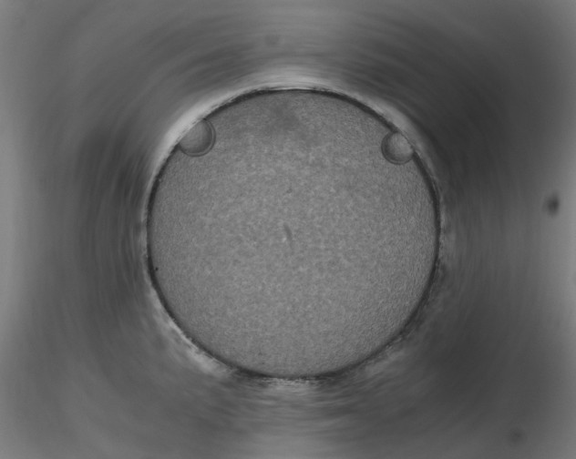 X0000116781191201001071230