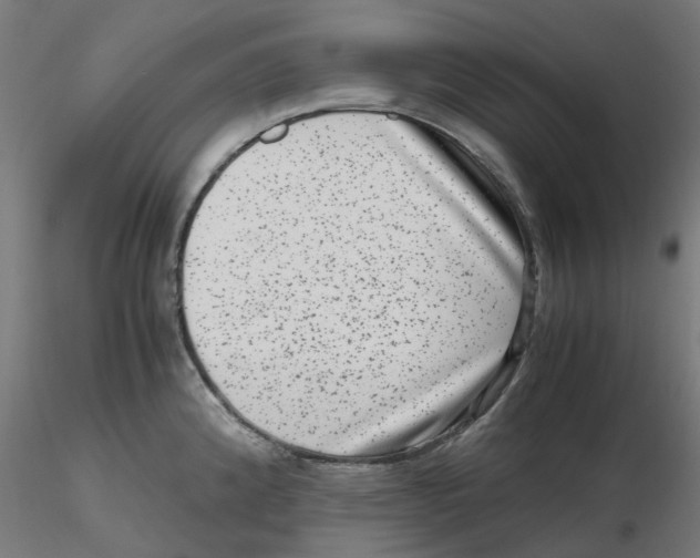 X0000116781192201001071230