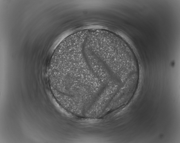 X0000116781193201001071230