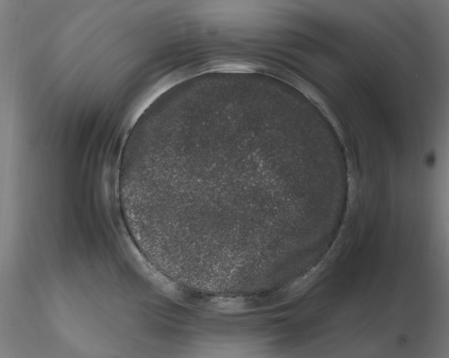 X0000116781194201001071230