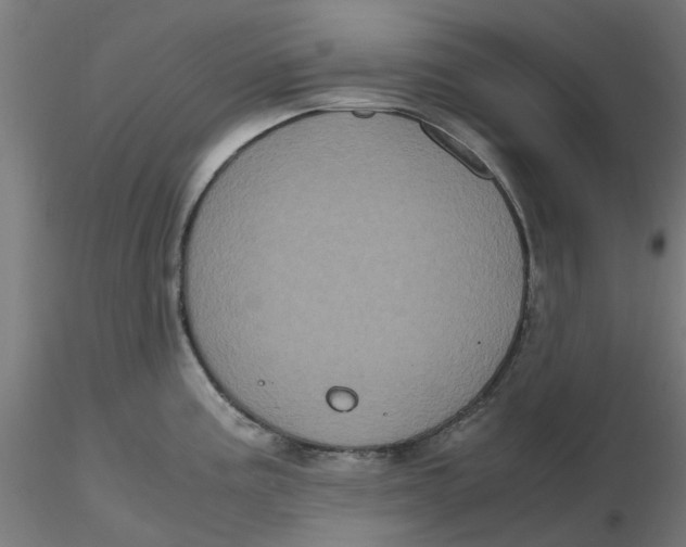 X0000116781195201001071230