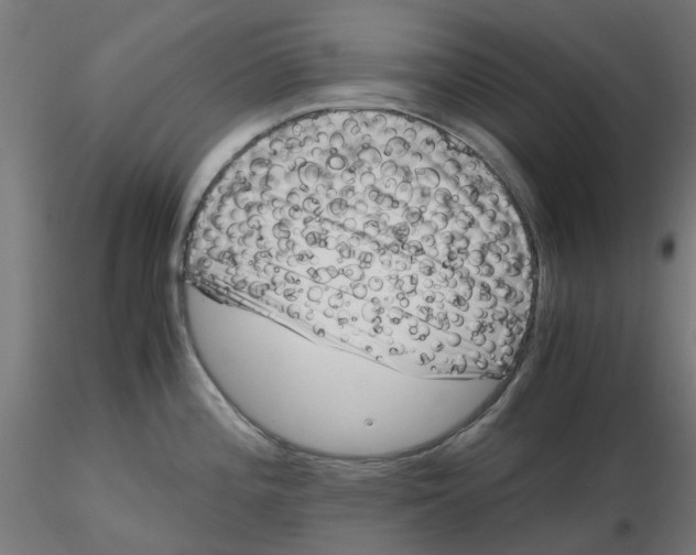 X0000116781196201001071230