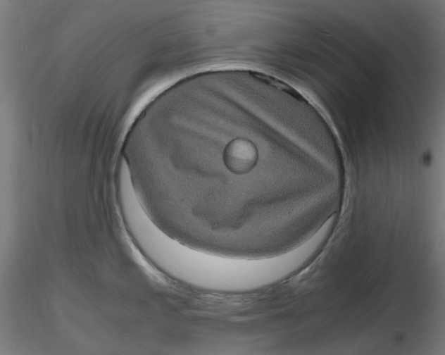 X0000116781197201001071230