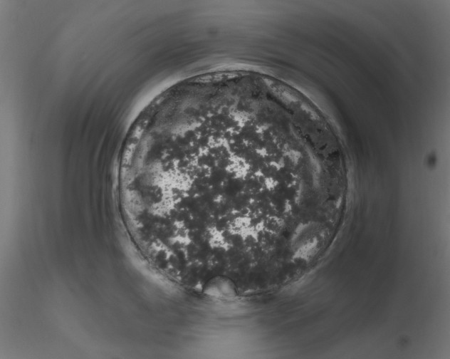 X0000116781198201001071230