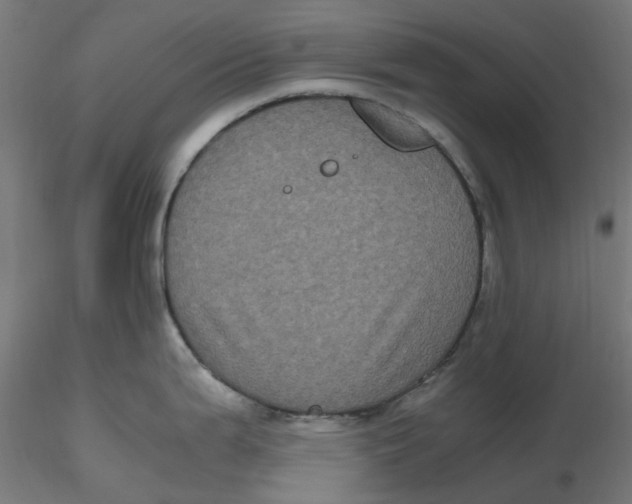 X0000116781199201001071230