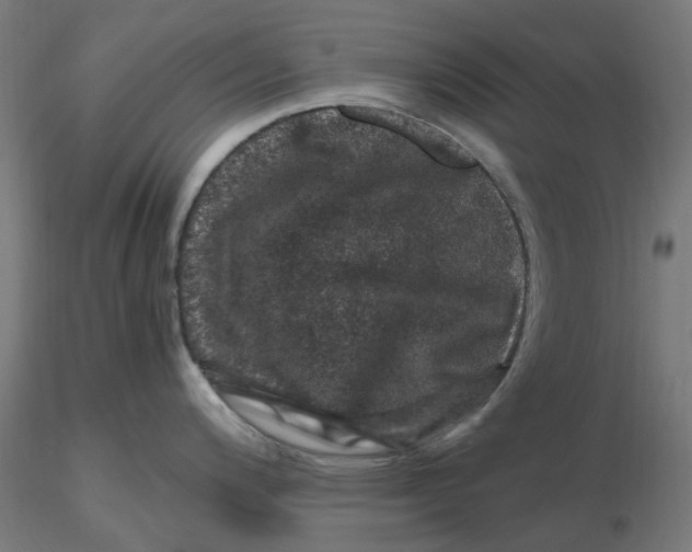 X0000116781200201001071230