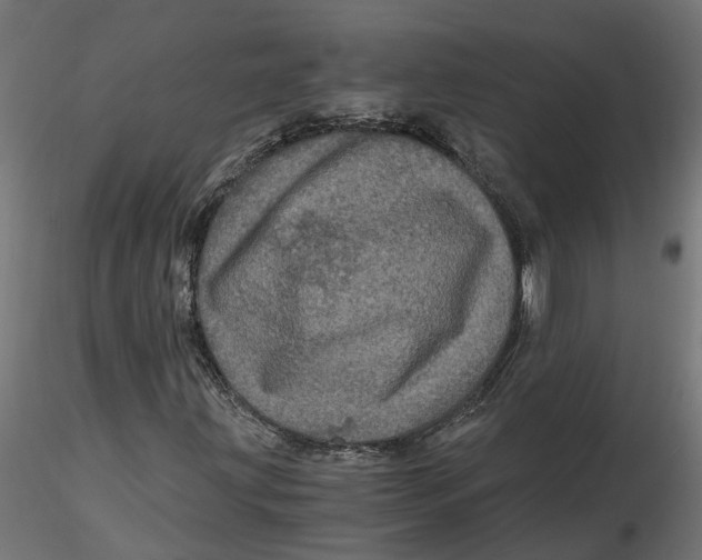 X0000116781203201001071230