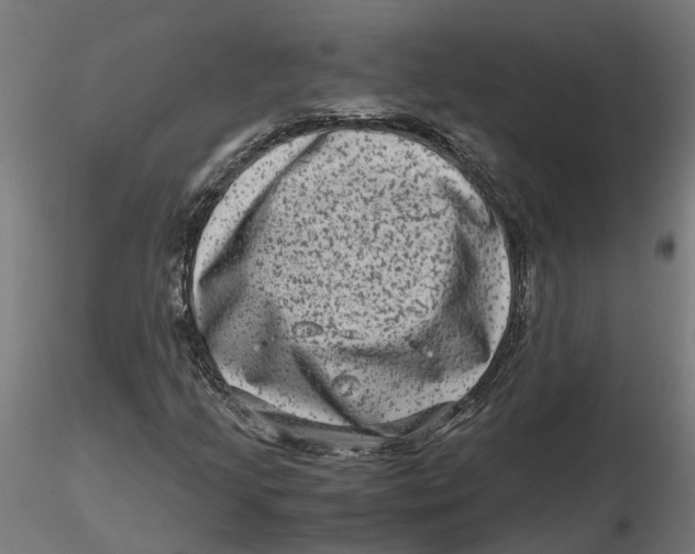 X0000116781205201001071230