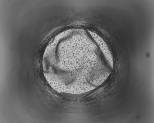 X0000116781206201001071230