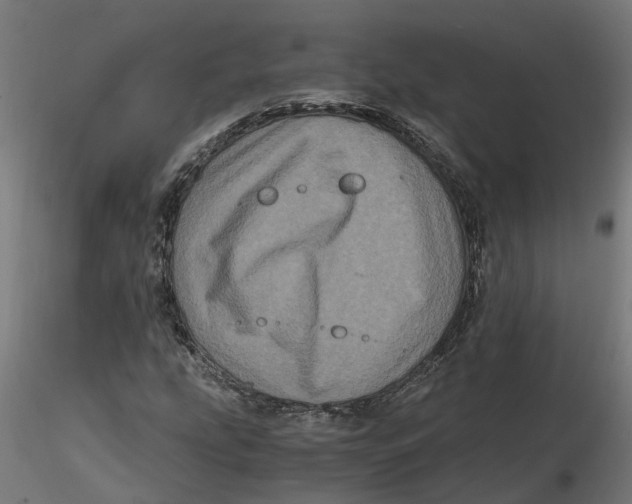 X0000116781207201001071230