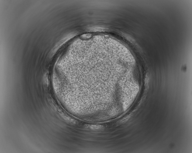 X0000116781209201001071230