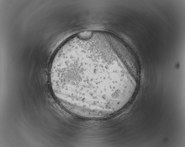 X0000116781212201001071230