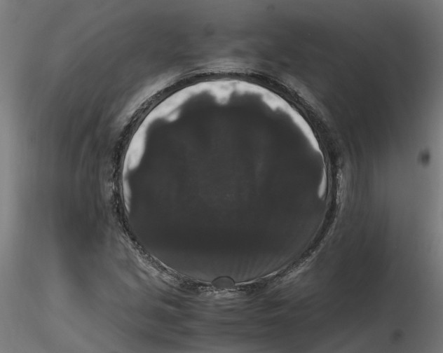 X0000116781213201001071230