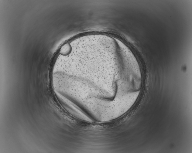 X0000116781214201001071230