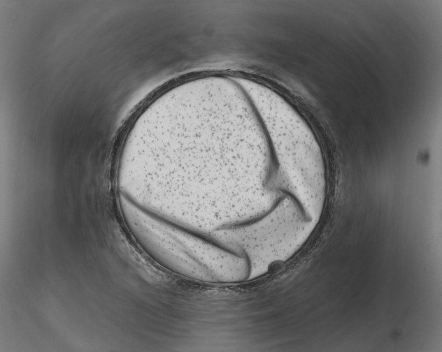 X0000116781216201001071230