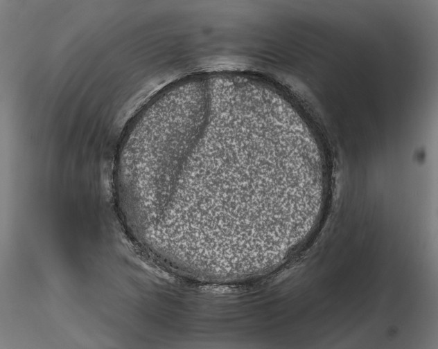 X0000116781217201001071230