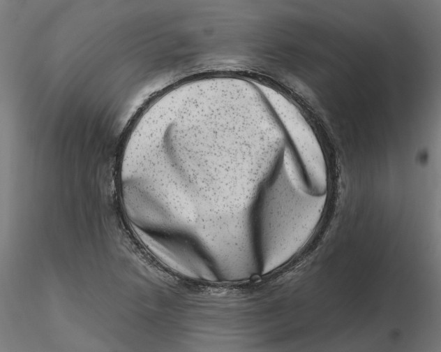 X0000116781218201001071230