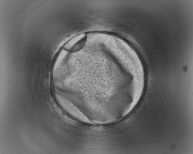 X0000116781220201001071230