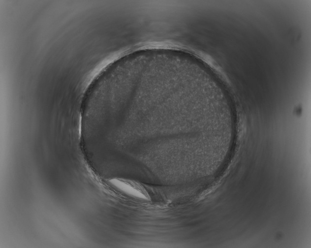 X0000116781221201001071230