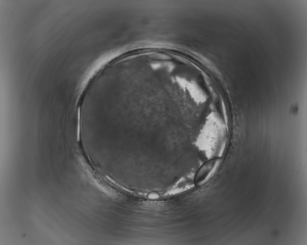 X0000116781223201001071230