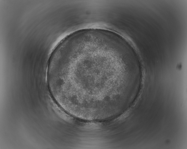 X0000116781224201001071230